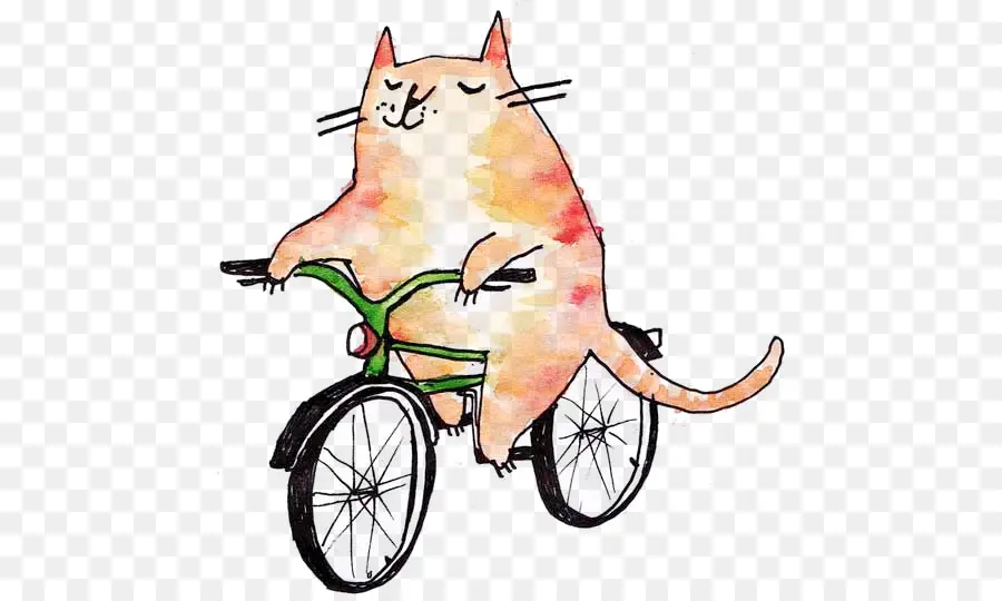 Chat à Vélo，Animal PNG