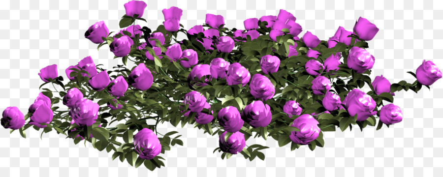 Fleurs Violettes，Buisson PNG