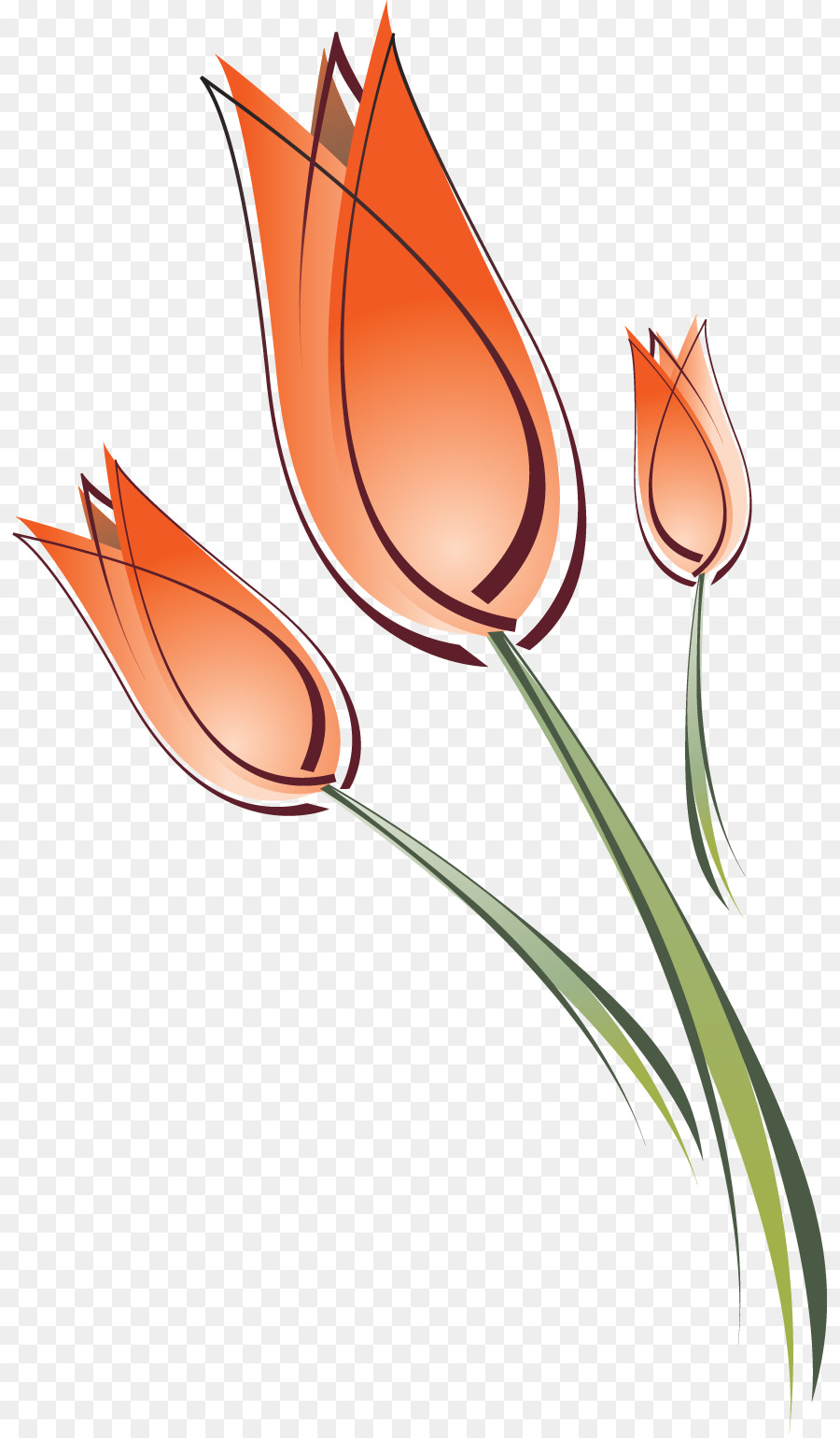 Fleurs Abstraites，Esquisser PNG