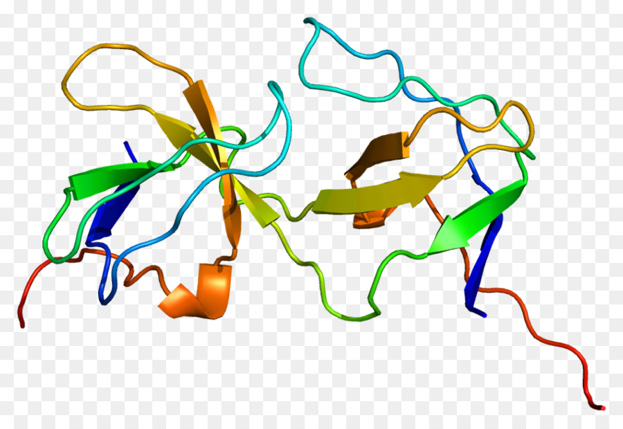 Structure Des Protéines，Molécule PNG