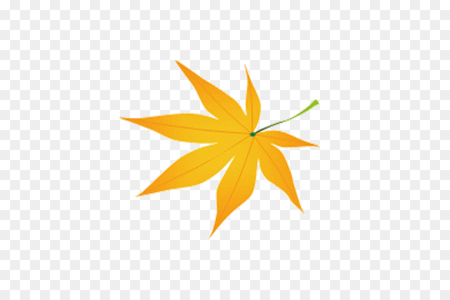 Feuille，Automne PNG