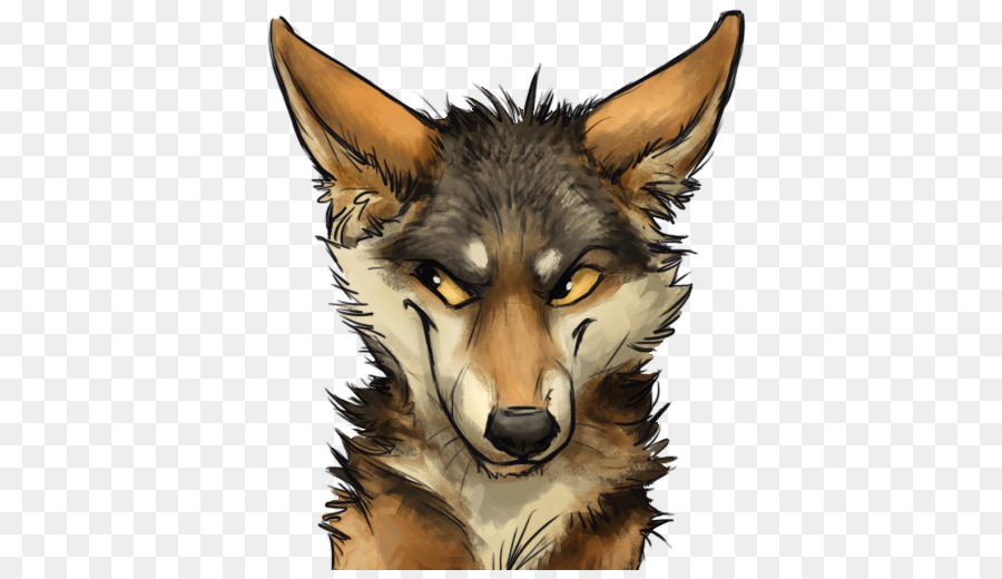 Coyote，Chien PNG