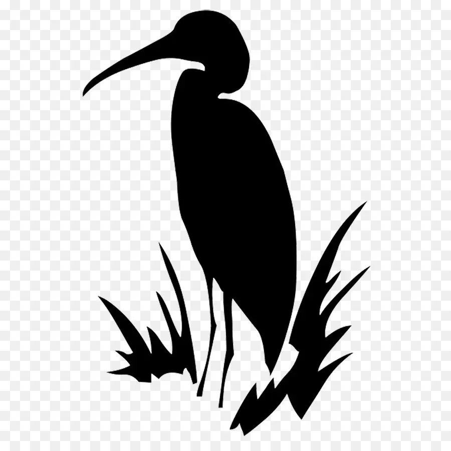 Silhouette D'oiseau，Oiseau PNG