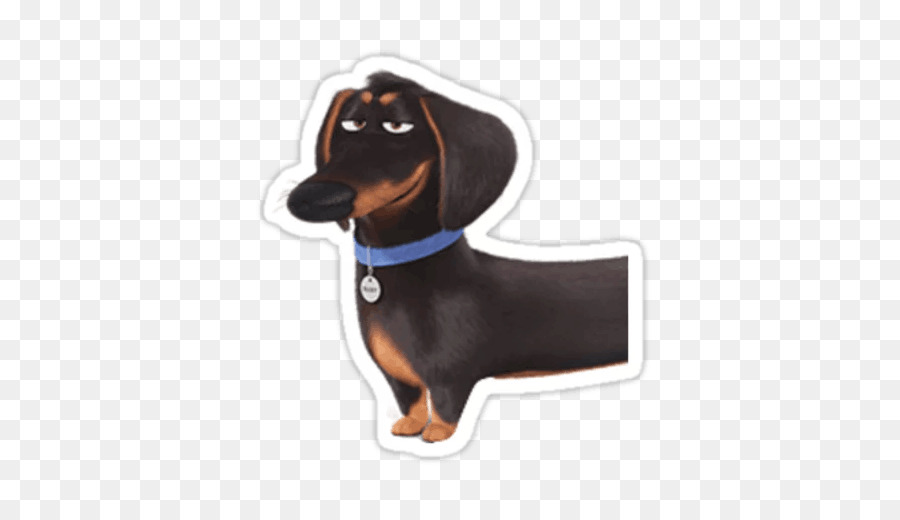 Teckel，Gidget PNG