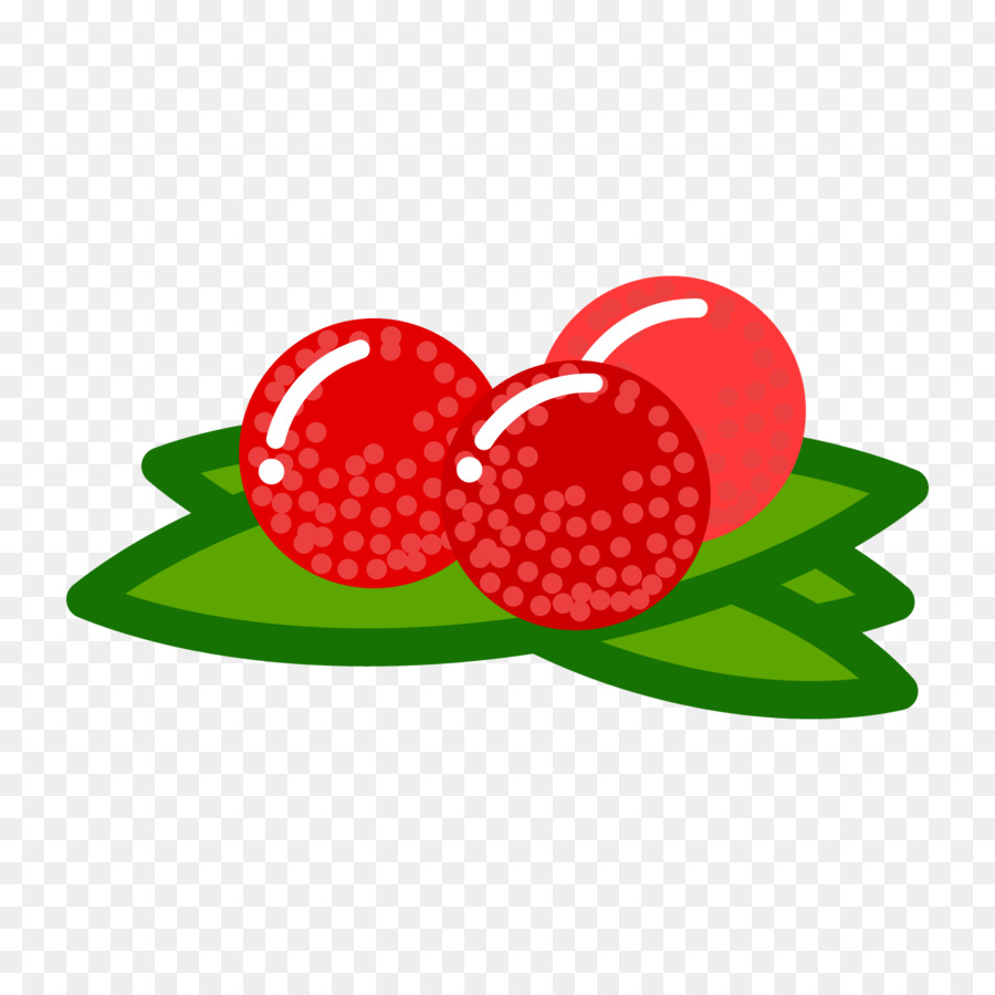 Chinois Laurier，Fruits PNG