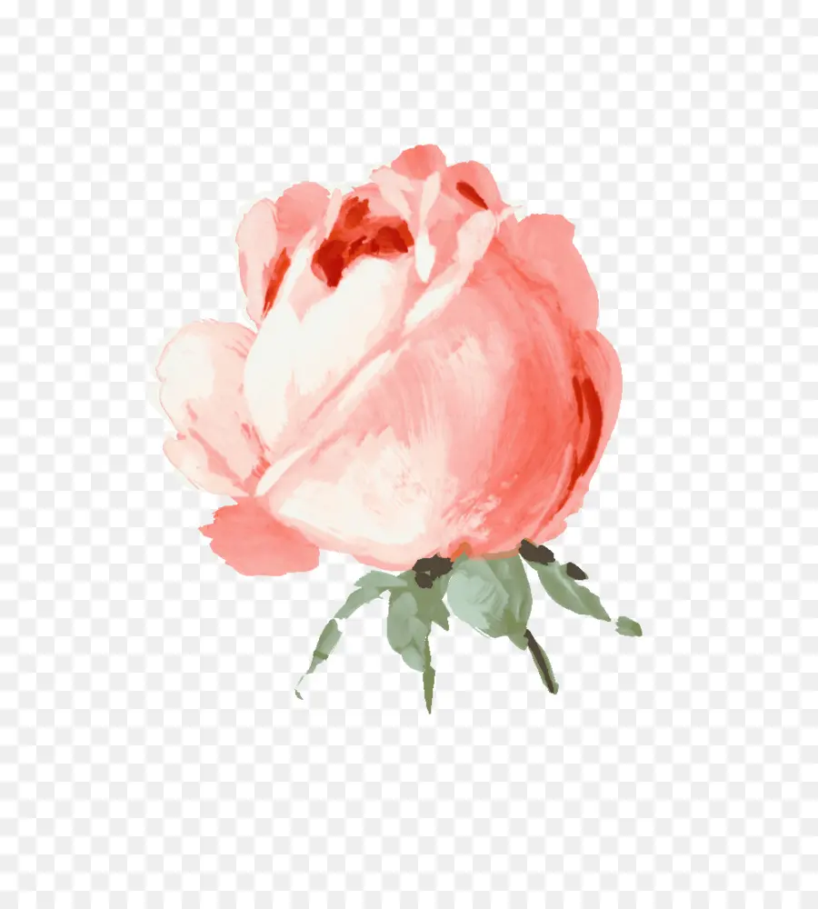 Fleurs Roses，Aquarelle PNG