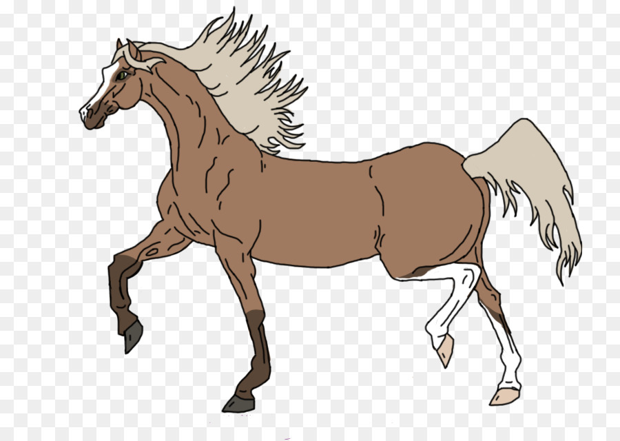 Cheval Qui Court，Animal PNG