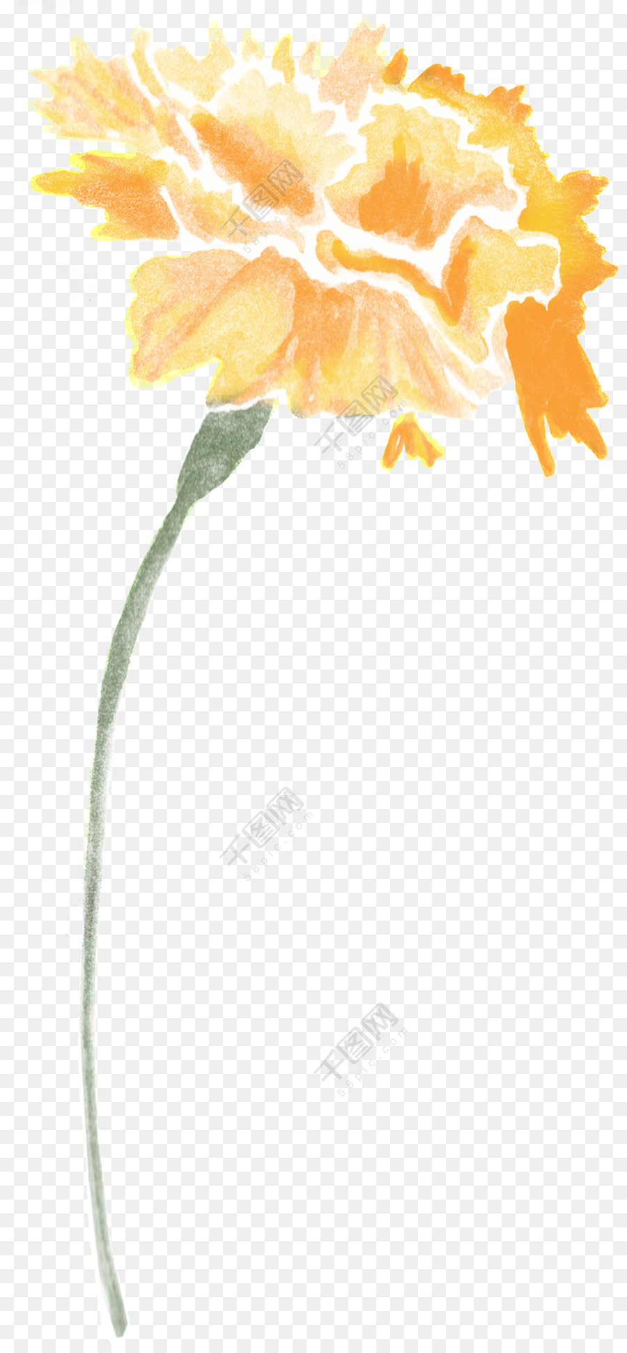 Fleur Jaune，Tige PNG