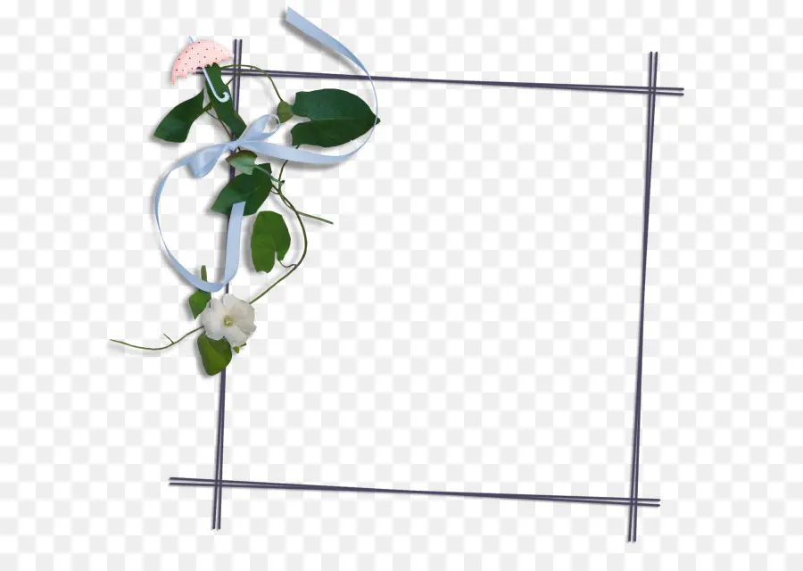 Cadre Floral，Fleurs PNG