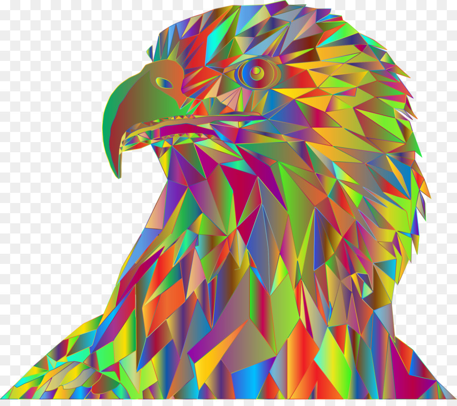 Aigle，Coloré PNG