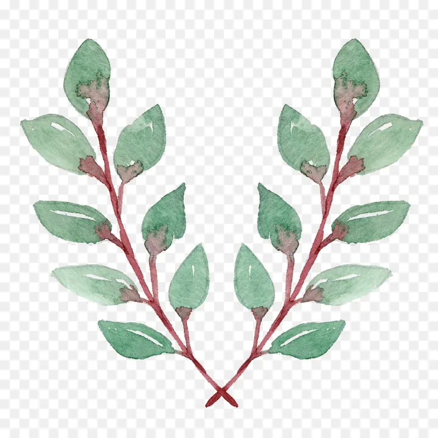 Feuilles Vertes，Bifurquer PNG