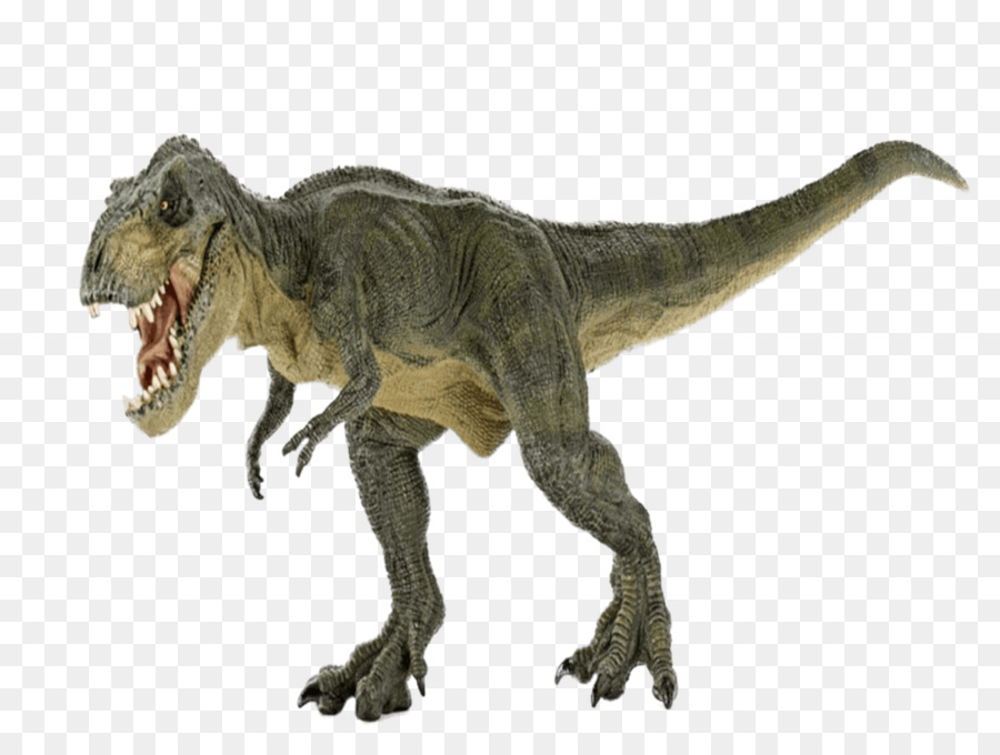 Tyrannosaurus，Stégosaure PNG
