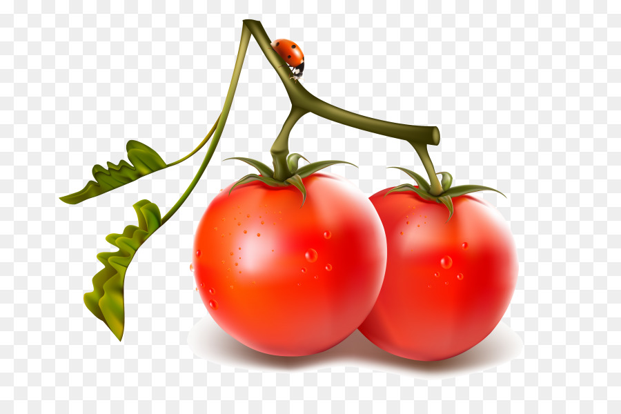 Tomates Rouges，Feuilles Vertes PNG