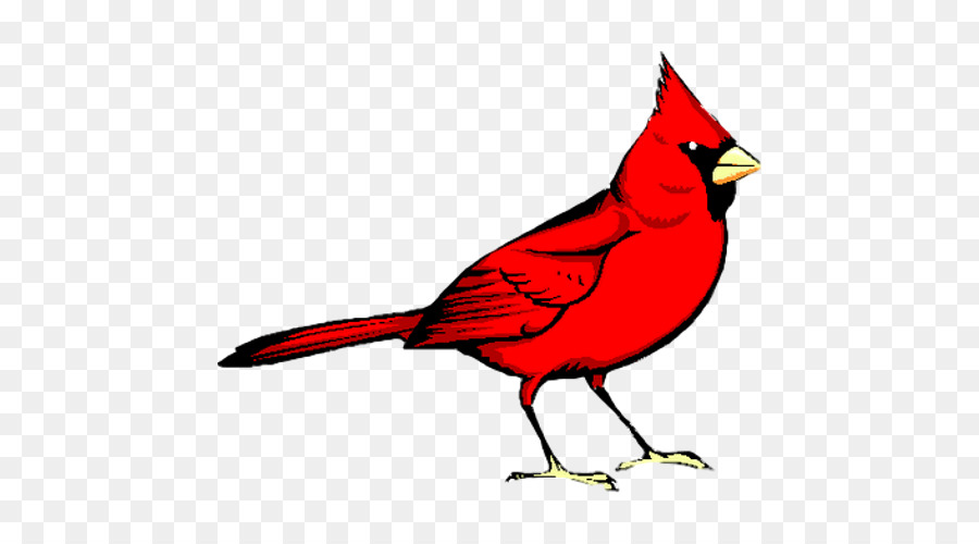 Oiseau Rouge，Batte De Baseball PNG