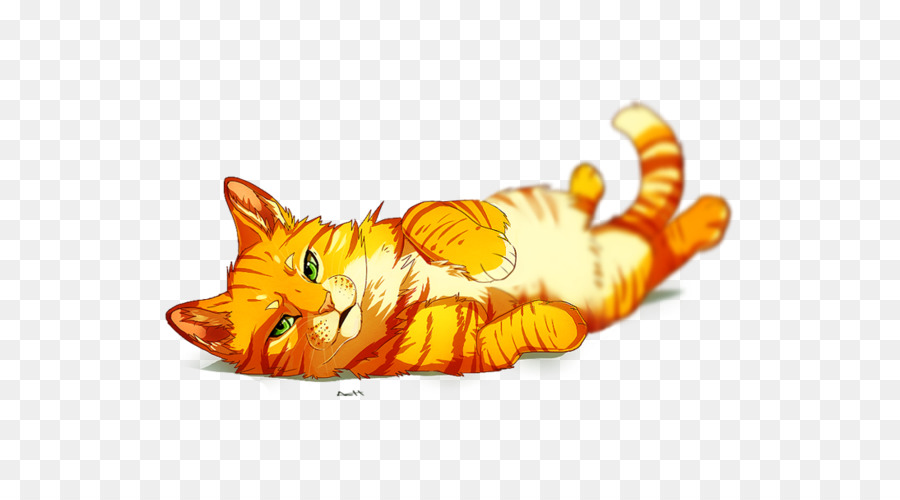 Chat Orange，Félin PNG