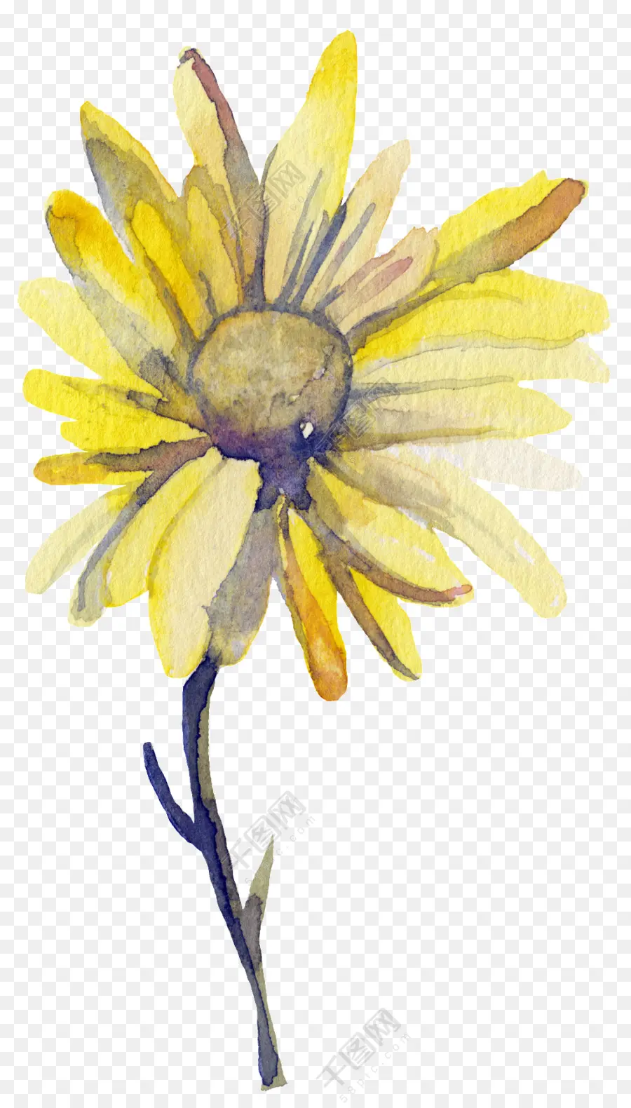 Fleur Jaune，Floral PNG