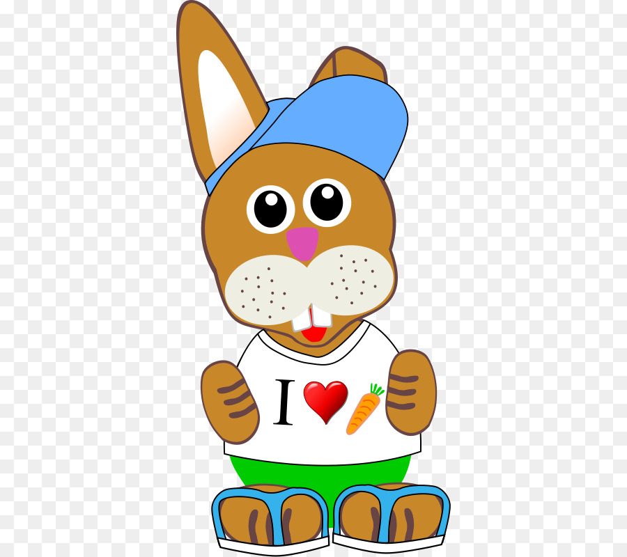 Vêtements，Lapin PNG