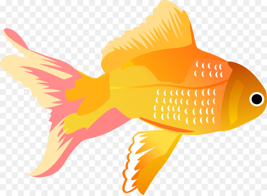 Poisson，Bleu PNG