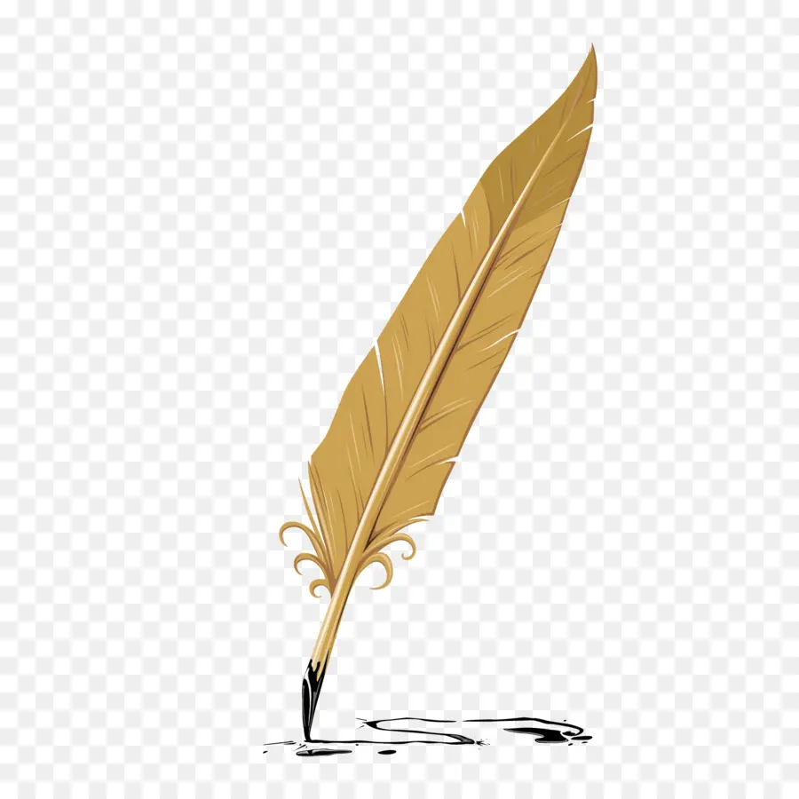 Plume D'or，Plume PNG