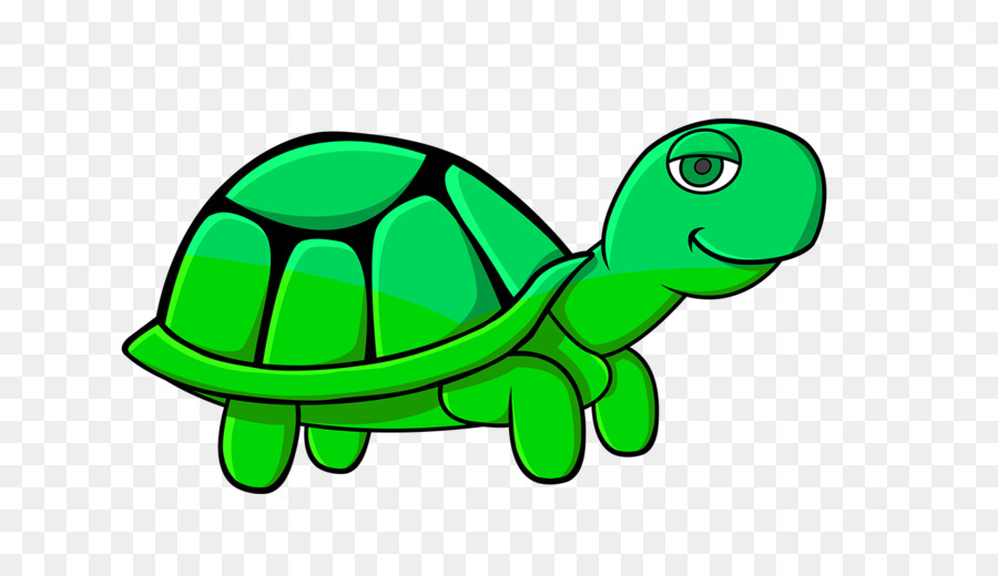 Tortue Mignonne，Reptile PNG