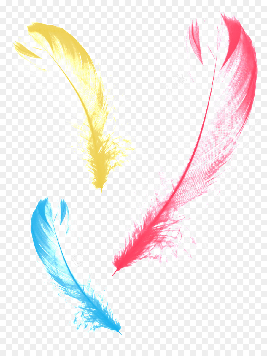 Plume，Violet PNG