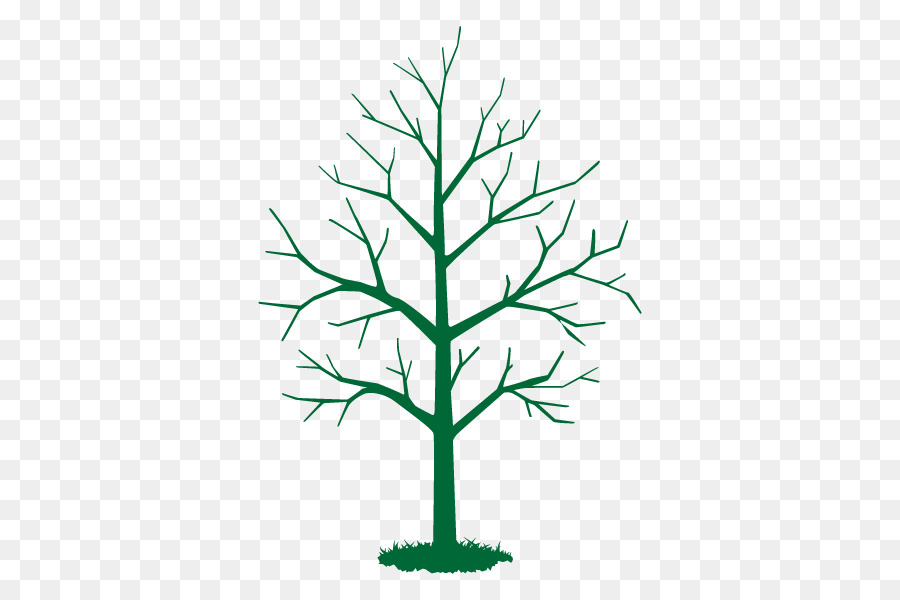 Arbre Nu，Succursales PNG