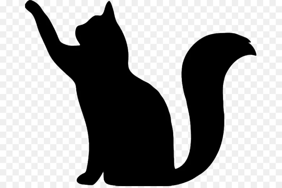 Silhouette De Chat，Félin PNG