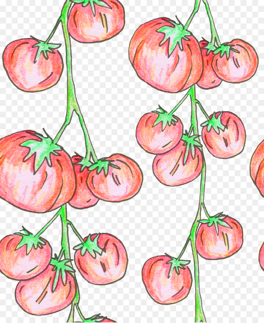 Tomate，Tige De La Plante PNG