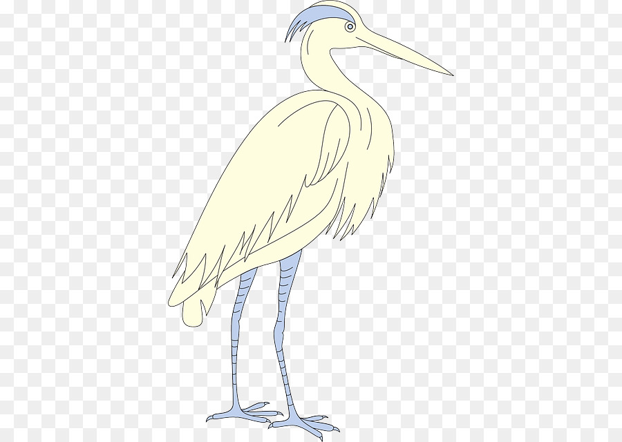 Oiseau Blanc，Animal PNG