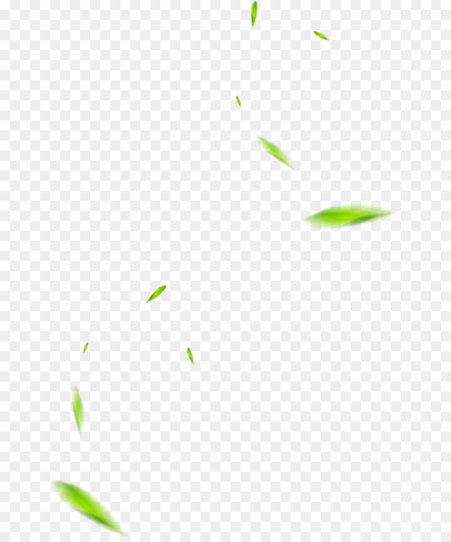 Feuilles Qui Tombent，Vert PNG