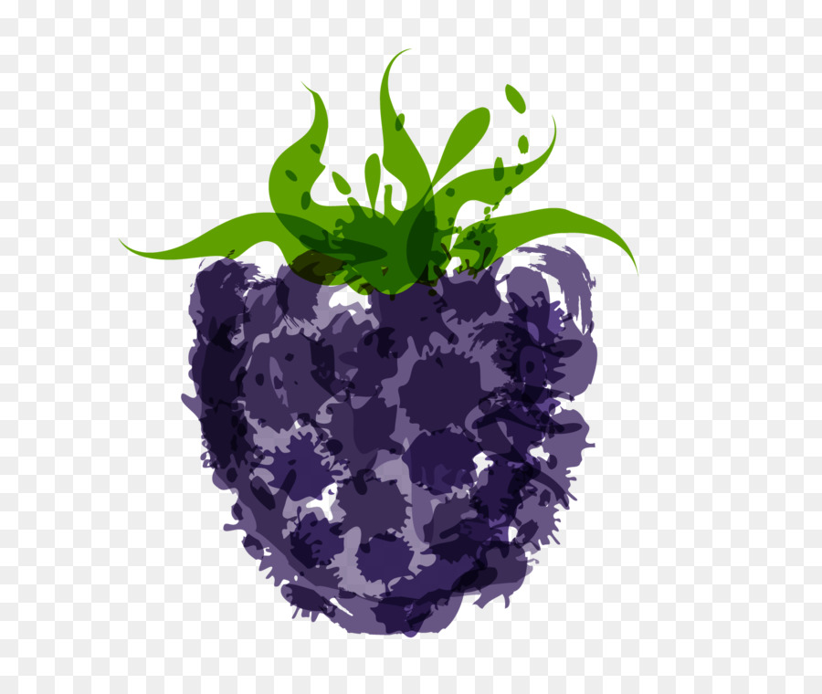 Graphisme，Fruits PNG