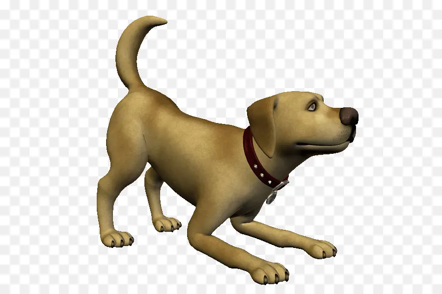 Chien Brun，Animal De Compagnie PNG