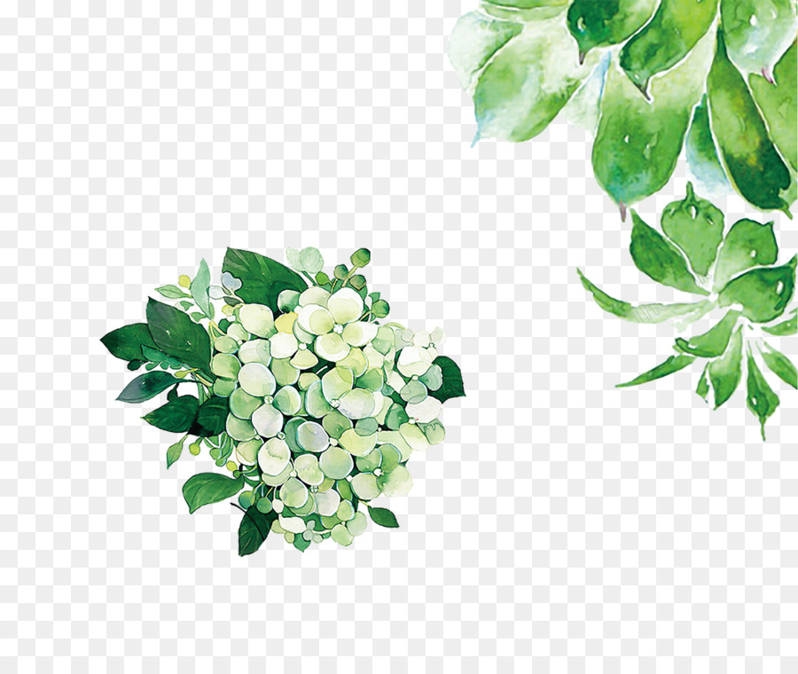 Verdure，Plantes PNG