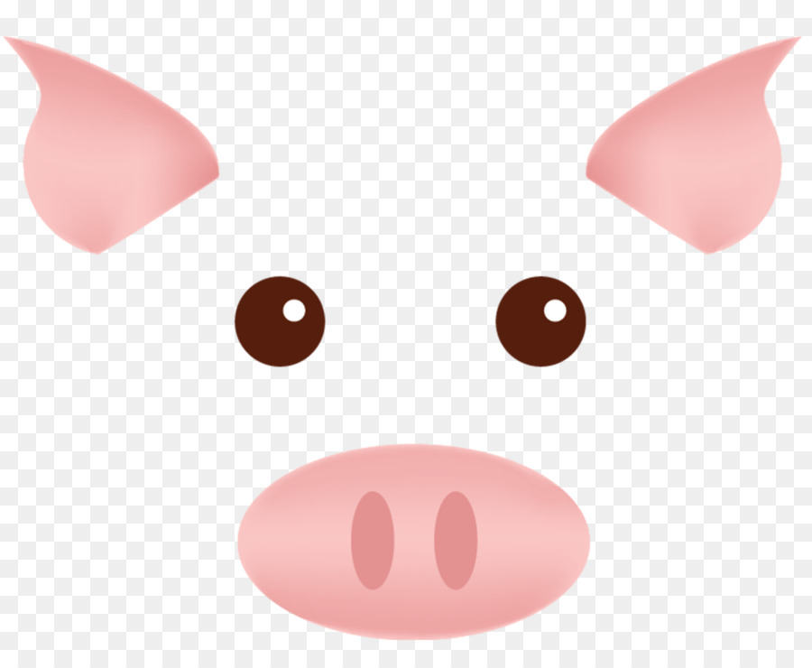 Visage De Cochon，Animal PNG