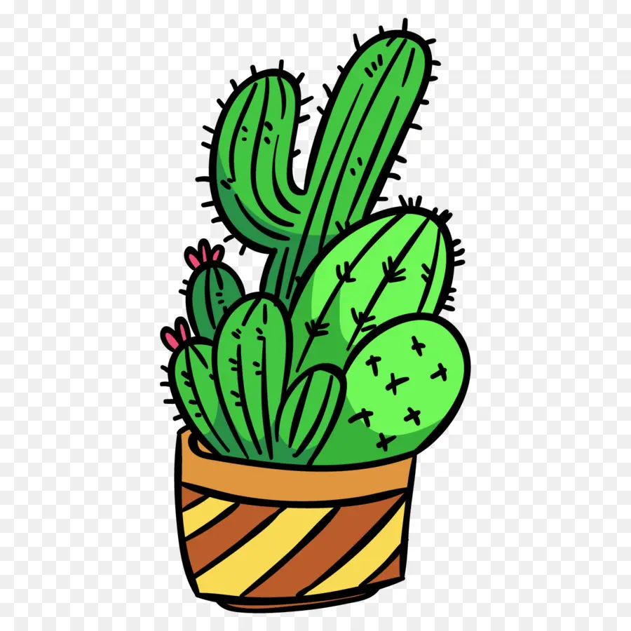 Cactus，Vert PNG