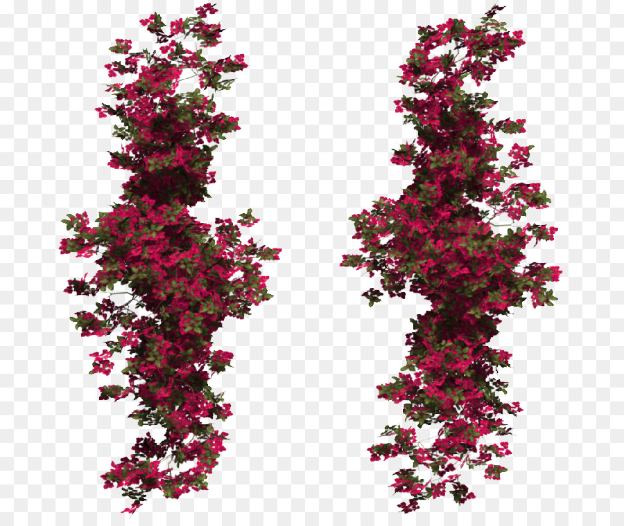 Vignes à Fleurs，Rose PNG