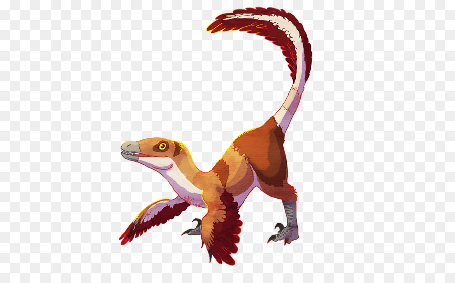 Velociraptor，Des Raptors De Toronto PNG