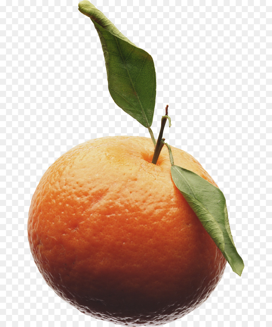 Orange，Agrumes PNG