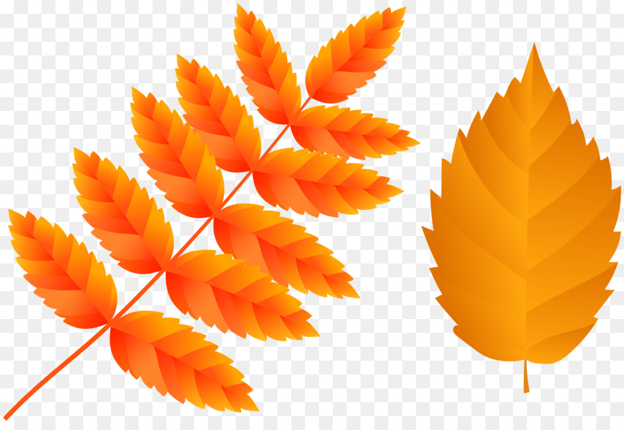 Feuilles D'automne，Orange PNG