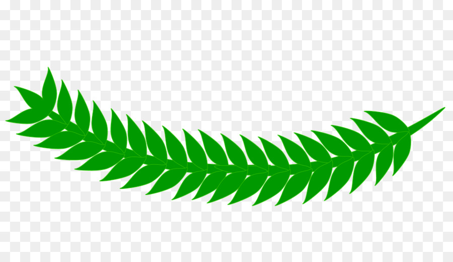 Feuille Verte，Usine PNG