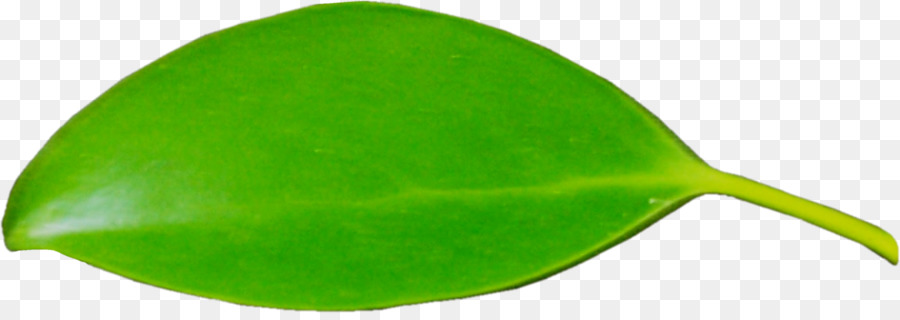 Feuille Verte，Nature PNG