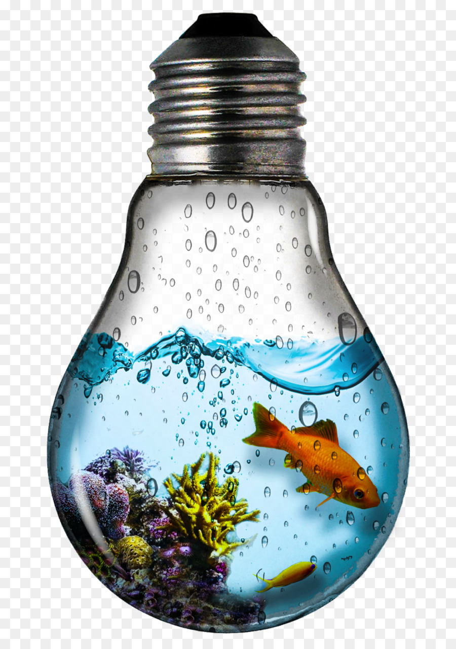 Poisson Dans Une Ampoule，Poisson PNG