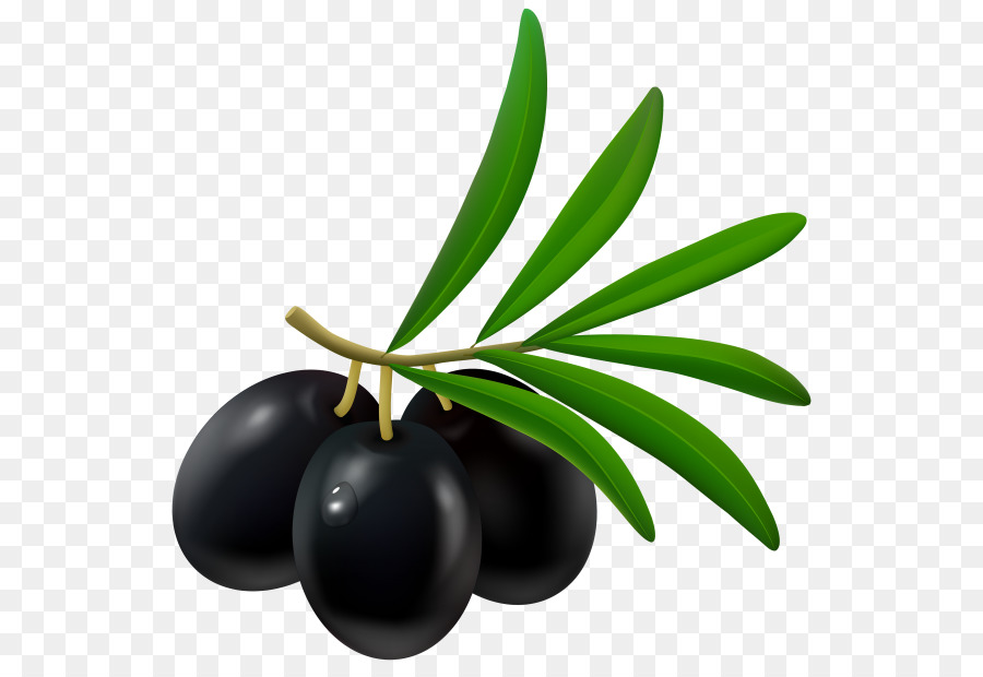 Olives Noires，Bifurquer PNG