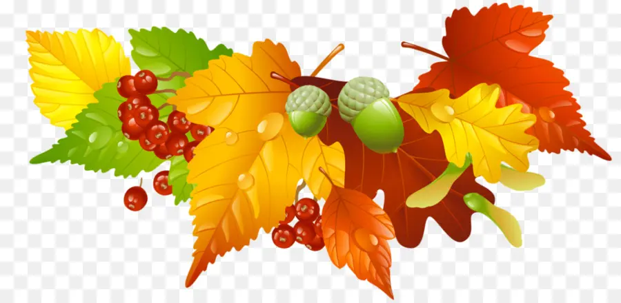 Couronne D'automne，Feuilles PNG