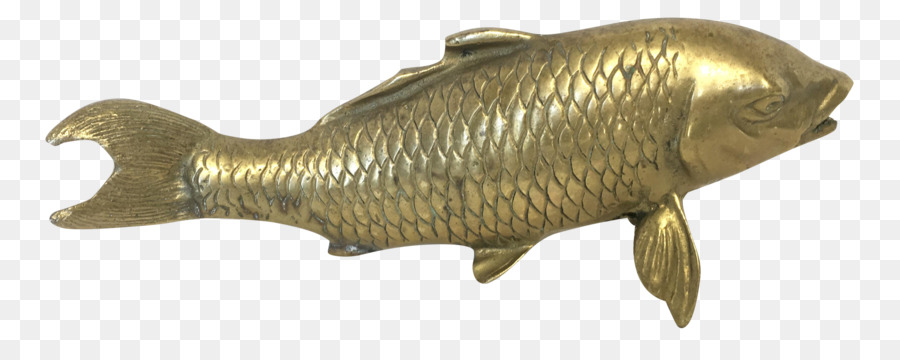 Poisson，Aquatique PNG