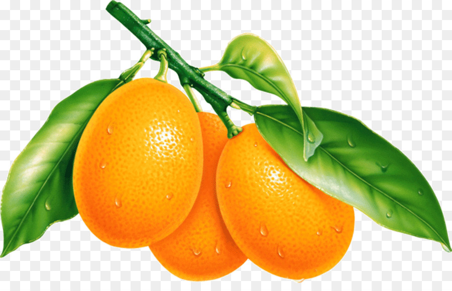 Orange，Agrumes PNG