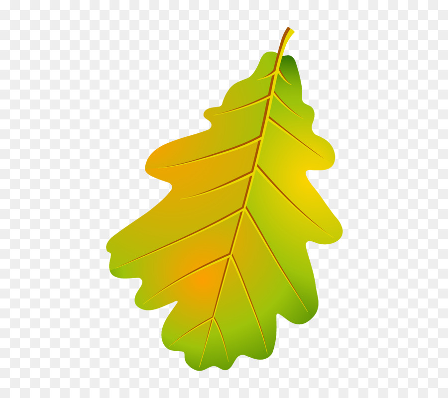 Feuille Verte，Usine PNG