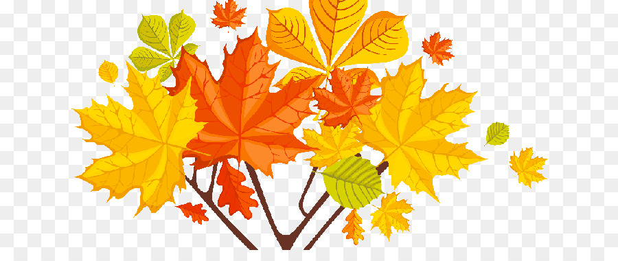 Feuilles D'automne，Automne PNG