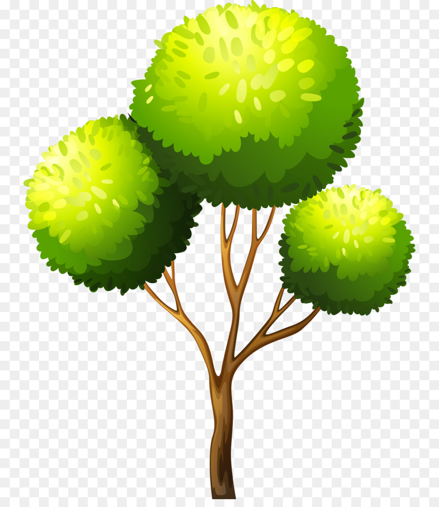 Arbre，Vert PNG