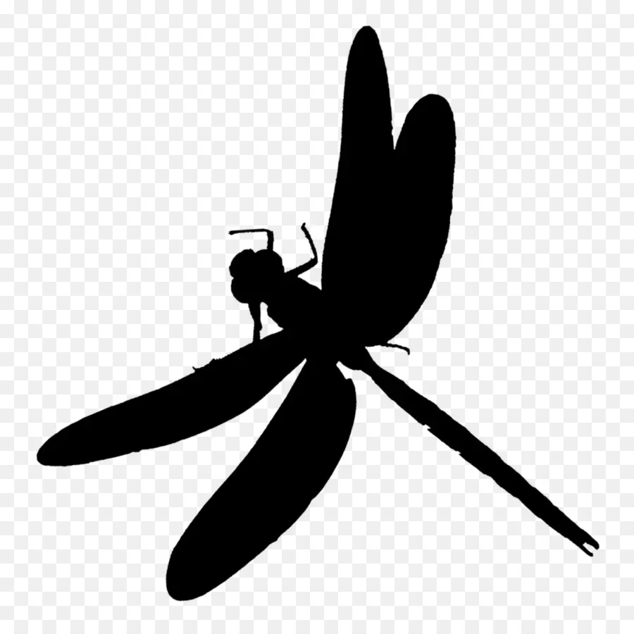 Les Insectes，Silhouette PNG